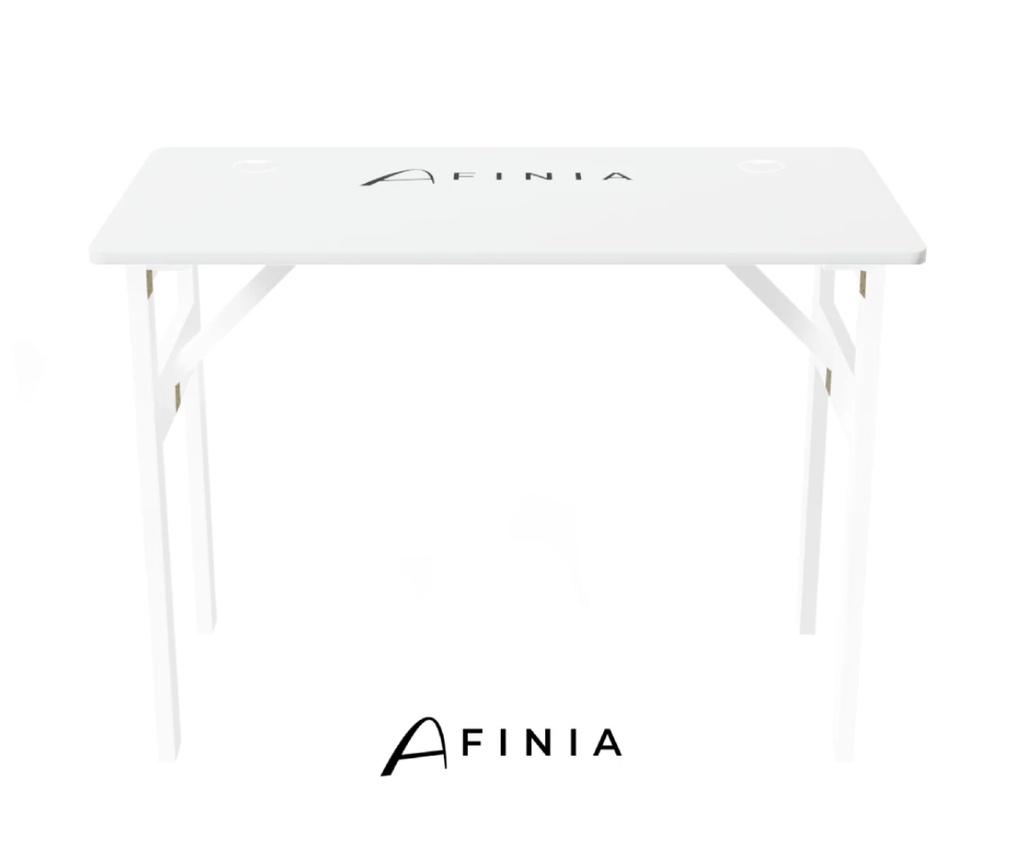 Afinia Go + transportzak