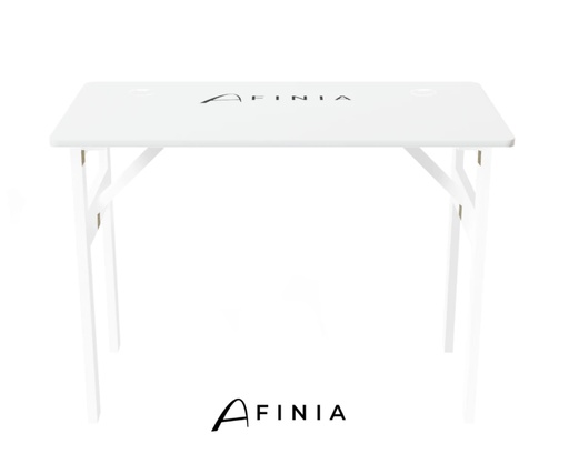 Afinia Go + transport bag